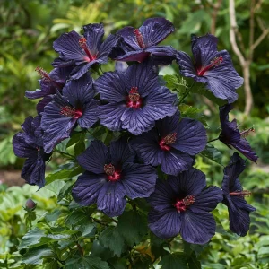 Гибискус Мэджик Момент купить по цене от 699р. в интернет-магазине «Посадика» с доставкой почтой в в Бийске и по всей России – [изображение №1].